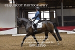 BPP_2590