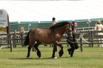 SBM_02283