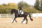 SBM_009633