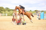 SBM_008060