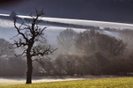 Frosted Field, English Bicknor