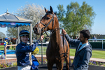 230426-Race 5-Naval Tribute-4999