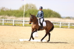 SBM_008399