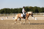 SBM_006930