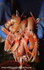 HTF004: Langoustines