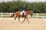SBM_00730