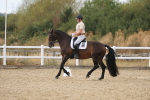 SBM_011031