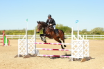 SBM_000753