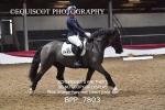 BPP_7803