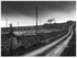 The Road Into Dursey, West Cork