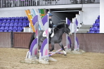 SBM_000039