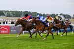Race 2 19.00pm Connexin Ultrafast Maiden Stakes portfolio