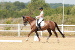 SBM_022276