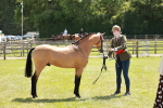 SBM_05580