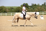 SBM_009085