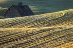 BARN -