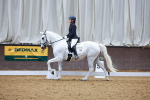 SBM_008878