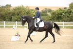 SBM_020308