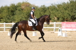 SBM_015091