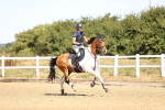 SBM_000273
