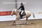 BPP_3897