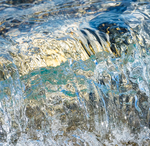 SPLASH #18 - BRUCE COUNTY