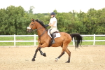 SBM_002666