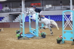 SBM_009020