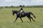 BVHT 140517  IXC -23