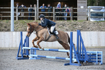 BVRC SJ 170319 208