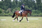 WJ6_6797