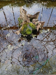 Clive Farrell portfolio