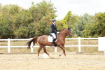 SBM_003805