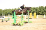 SBM_003356