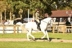 SBM_26417