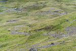 Borrowdale-14