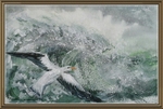 SM16   Albatross