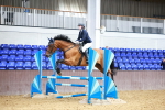 International arena - 26-7-25 - Show Jumping portfolio