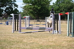 WJ6_5846
