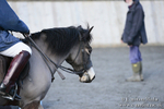 BVRC SJ 170319 9
