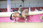 SBM_08019