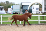 SBM_05806