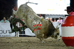 3HRodeo8-5-24_CFD_3HR-YUMA- 6126_