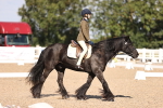 SBM_03478