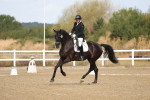 SBM_008239