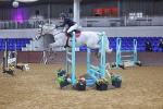 SBM_009117