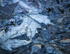 DECEMBER, BACKUS WOODS  #4
