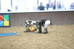 SBM_001196
