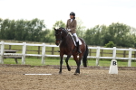 SBM_002587