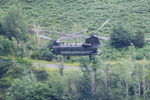 Chinook ZK555_5630